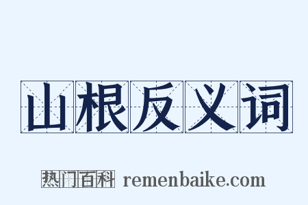 山根反义词是什么意思的图片
